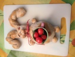 coniglio pasqua.JPG