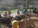 DSCN8134.JPG