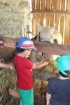 IMG_1516.JPG