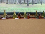 DSC01941.JPG